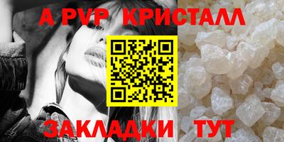 стафф Лесосибирск