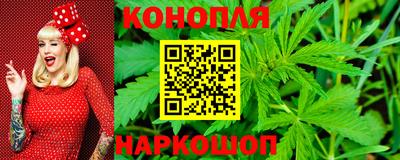 стафф Лесосибирск