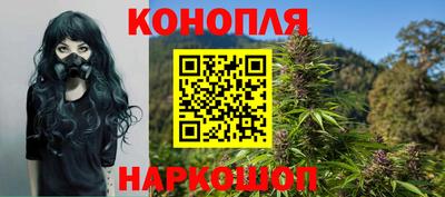 стафф Лесосибирск